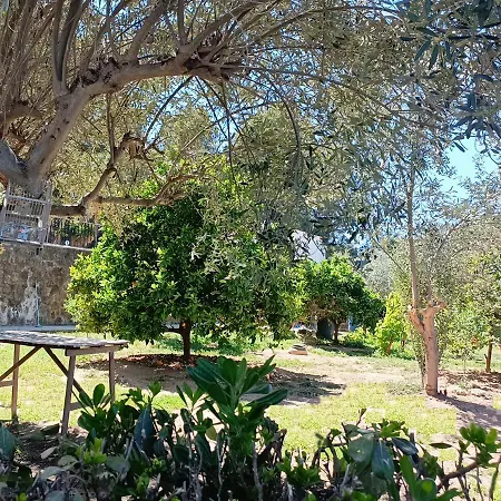 Quiet Forest House With A Super Large Swimming Pool, Good View, Facing North, Very Cool Llíria Exterior photo