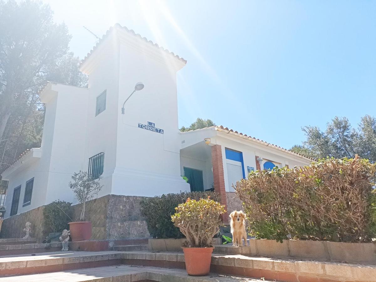 Hébergement de vacances Quiet Forest House With A Super Large Swimming Pool, Good View, Facing North, Very Cool