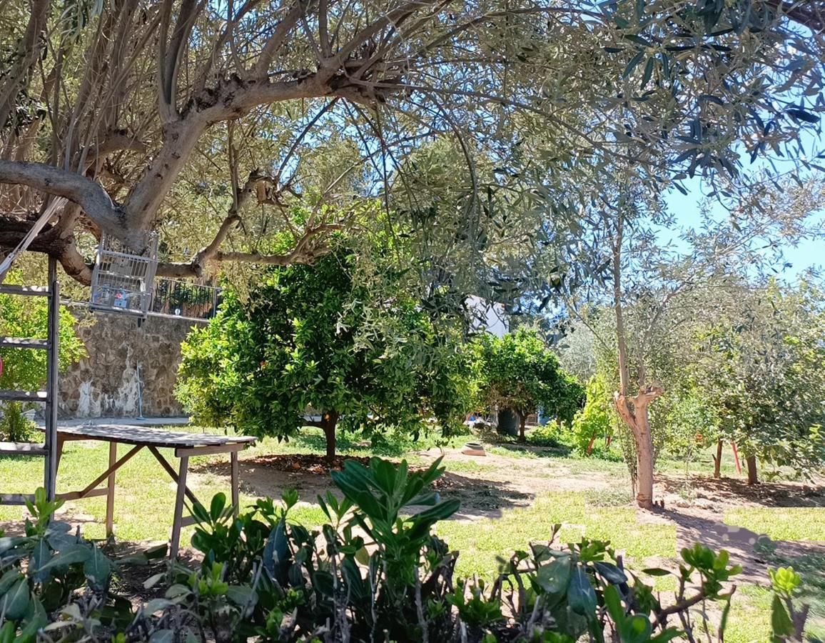 Quiet Forest House With A Super Large Swimming Pool, Good View, Facing North, Very Cool Holiday home